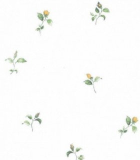 Bloom 52704