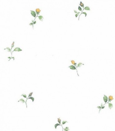Bloom 52704