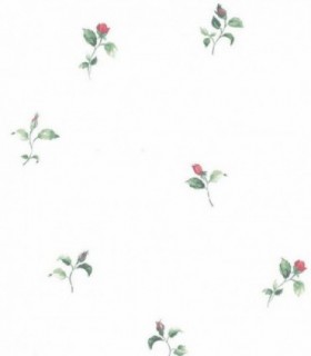 Bloom 52725