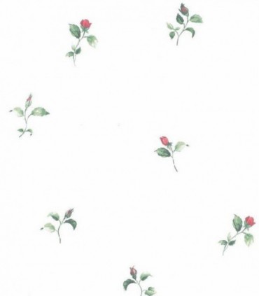 Bloom 52725
