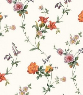 Bloom 53507