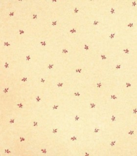 Bloom 54905