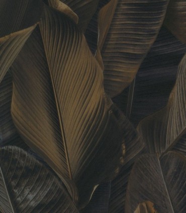 Lymphae 17808