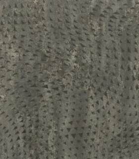 Lymphae 48207