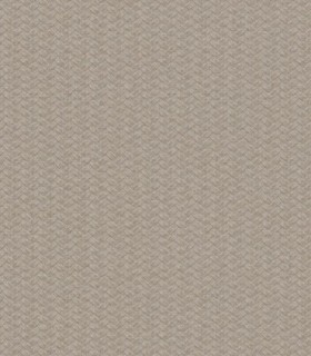 Metropolis 21105