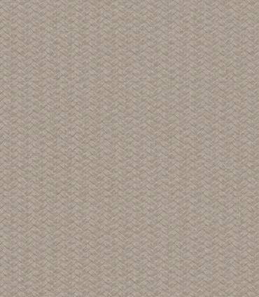 Metropolis 21105