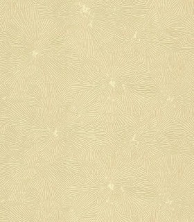 Textilia 32004
